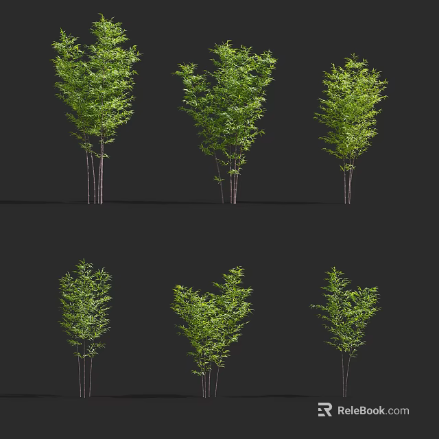 Lush Green Bamboo Plants With Various Growth Forms In Natural Setting 3d model 