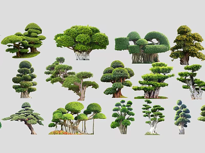 Different Styles and Shapes of Pruned Arbor Trees for Landscape Decoration 3d model