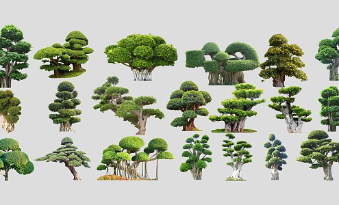 modern banyan tree banyan pile head 3d model