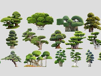 modern banyan tree banyan pile head 3d model