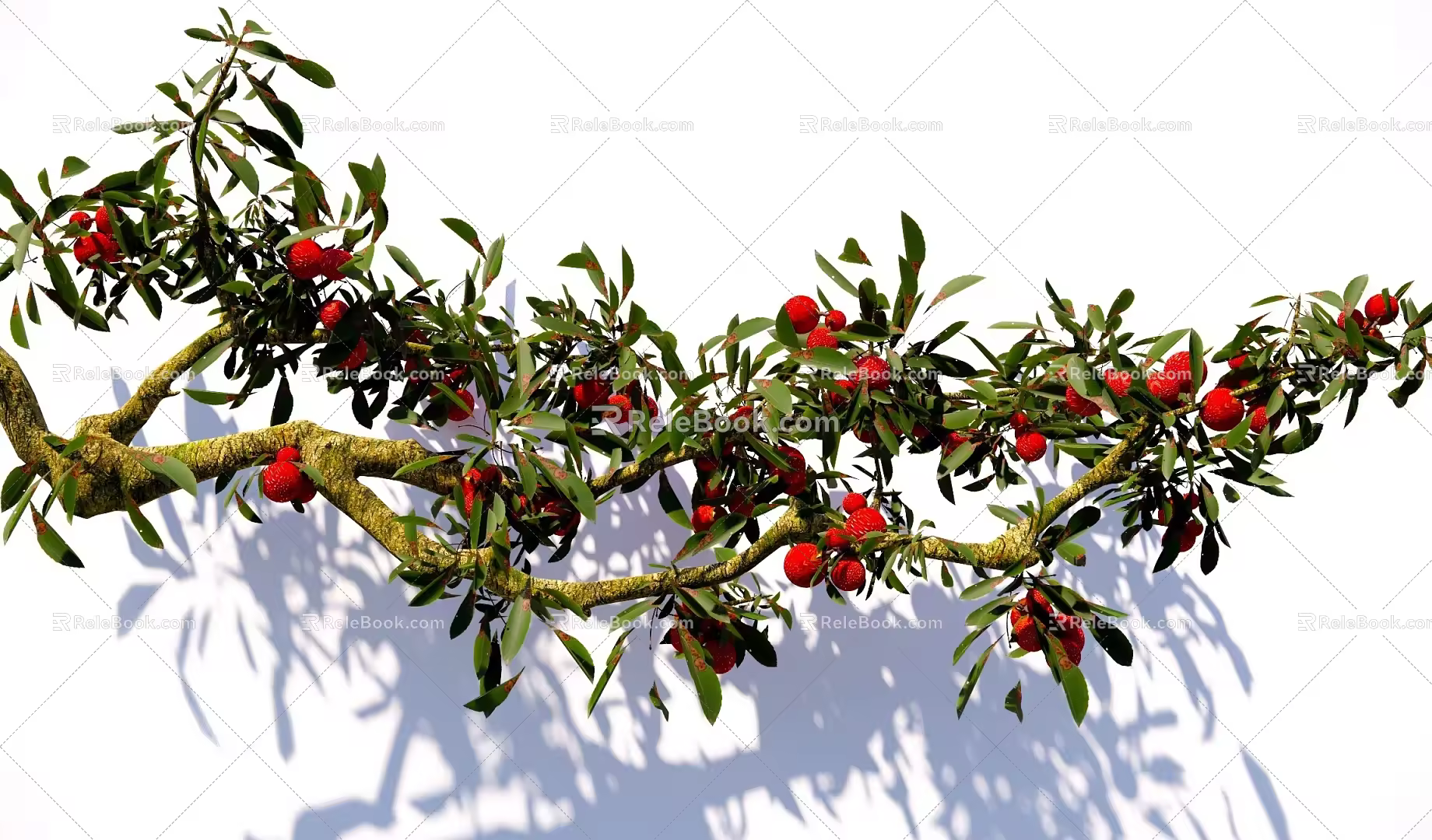 arbor bayberry branch litchi tree courtyard fruit tree landscape tree modeling tree 3d model