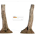 Natural Stone Wood Tree Trunks With Root Bases And Textured Surfaces 3d model