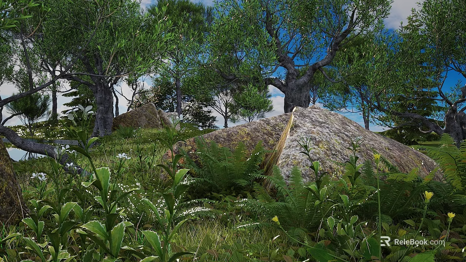 Lush Trees in Natural Landscape with Blue Sky Large Rocks Ferns and Green Vegetation 3d model 