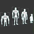 White 3D Male Human Figure Models in Various Sizes on Dark Background