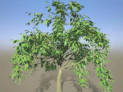 Lush Green Arbor With Dense Foliage And Sturdy Trunk Against Clear Sky 3d model