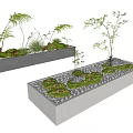 Ground Cover Landscaping In Concrete Planters With Small Shrubs Ferns And Gravel