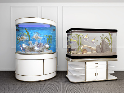 Modern fish tank model