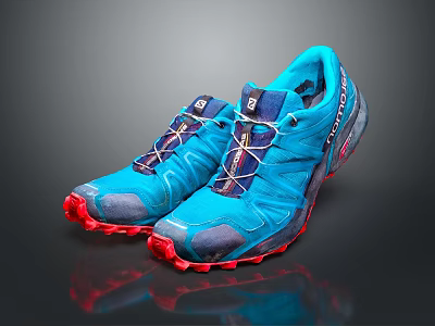 Salomon Blue Trail Running Shoes With Red Soles And Performance Design For Outdoor Sports 3d model