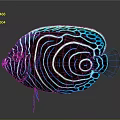 Colorful Tropical Fish With Neon Blue Stripes And Spiral Patterns On Dark Background