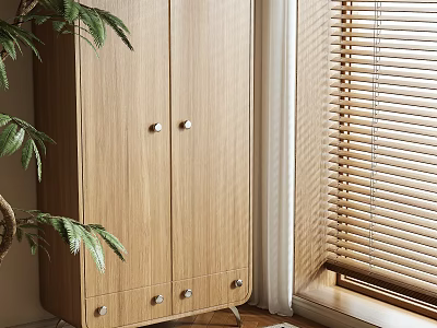 Wooden Two Door Wardrobe With Drawers At Bottom Near Window With Blinds And Plant 3d model