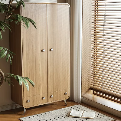 Wooden Two Door Wardrobe With Drawers At Bottom Near Window With Blinds And Plant 3d model
