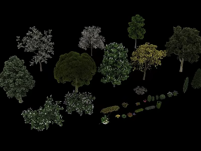 Diverse Arbor Varieties For Outdoor Landscape Featuring Various Shapes And Foliage 3d model