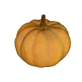 Fresh Ripe Yellow Round Pumpkin with Smooth Skin as Healthy Vegetable