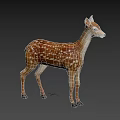 3D Fawn Model with Brown Fur and White Spots on Black Background