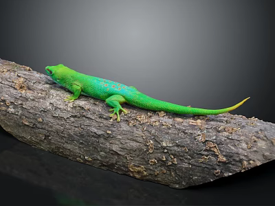 Vibrant Green Lizard Perched On Weathered Wooden Log With Textured Surface 3d model