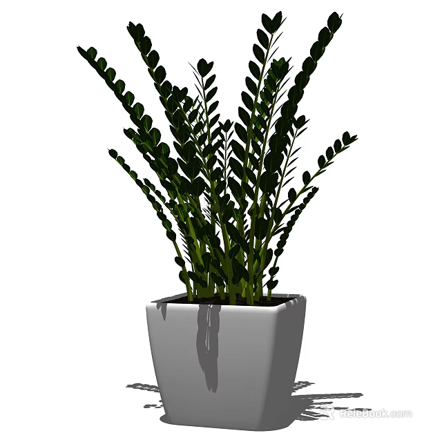 Bonsai Potted Plant With Lush Green Leaves In White Square Pot For Indoor Decoration 3d model 