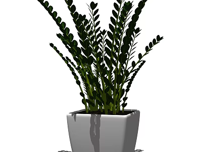 Bonsai Potted Plant With Lush Green Leaves In White Square Pot For Indoor Decoration 3d model
