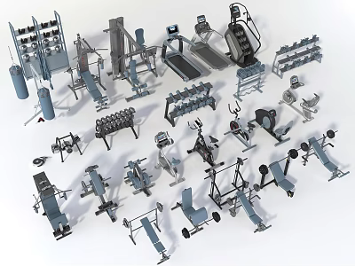 Comprehensive Gym Fitness Equipment Collection With Treadmills Dumbbells Benches And Machines 3d model