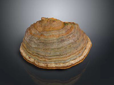 Layered Textured Household Decorative Tray With Brown Yellow Gray Natural Pattern Design 3d model