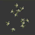 3D Rendered White Small Flowers with Green Stems and Leaves on Black Background