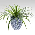 Decorative Bonsai Potted Plant with Long Green Leaves in Blue and White Patterned Pot