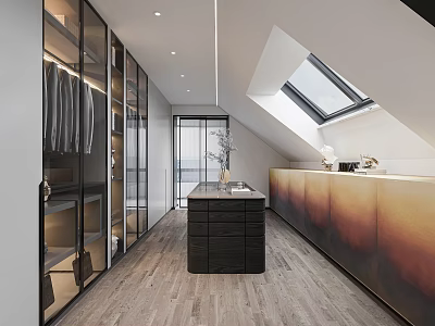 Modern Walk in Closet Design With Glass Door Wardrobes Central Island And Skylight 3d model