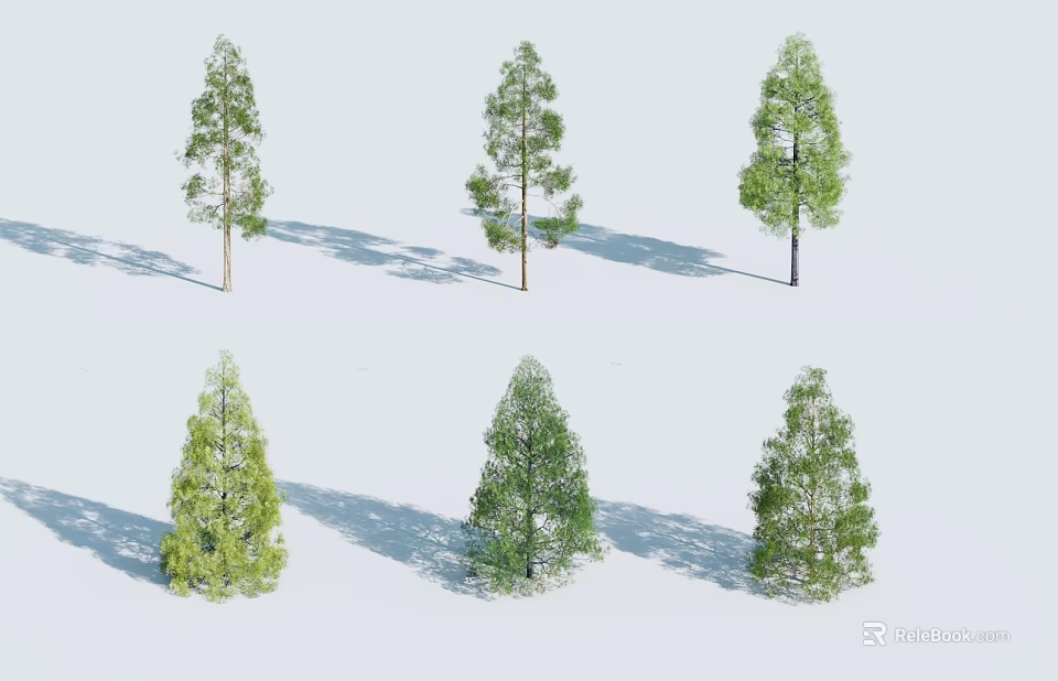 Arbor Trees With Various Foliage Shapes And Shadows On White 3d model 