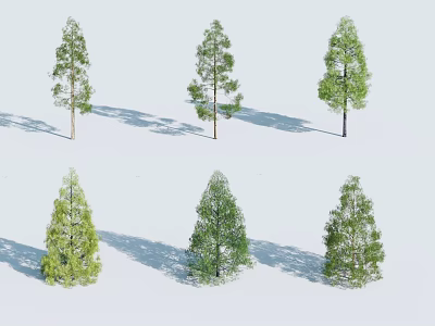 Arbor Trees With Various Foliage Shapes And Shadows On White 3d model