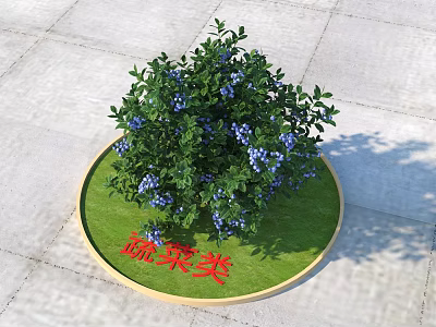 Vegetable Type Arbor With Blue Flowers Growing In Circular Green Lawn Area 3d model