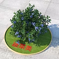 Vegetable Type Arbor With Blue Flowers Growing In Circular Green Lawn Area