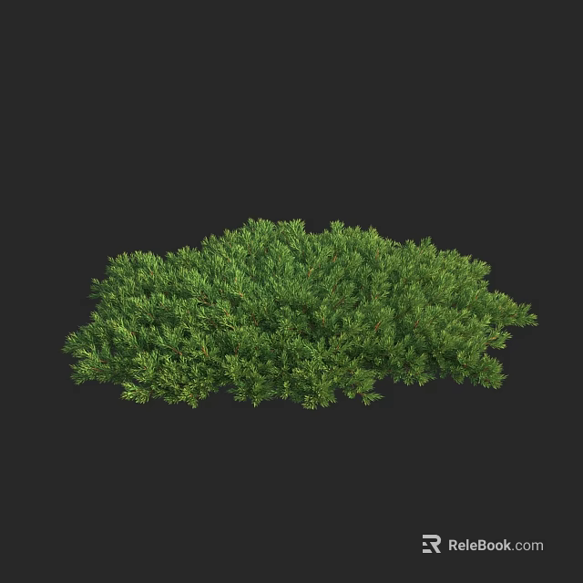 Lush Green Shrub with Dense Foliage and Vibrant Leaves Perfect for Garden Landscaping Design 3d model 