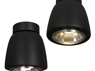 Modern Black Ceiling Lights With Bright Illumination For Indoor Home Lighting 3d model