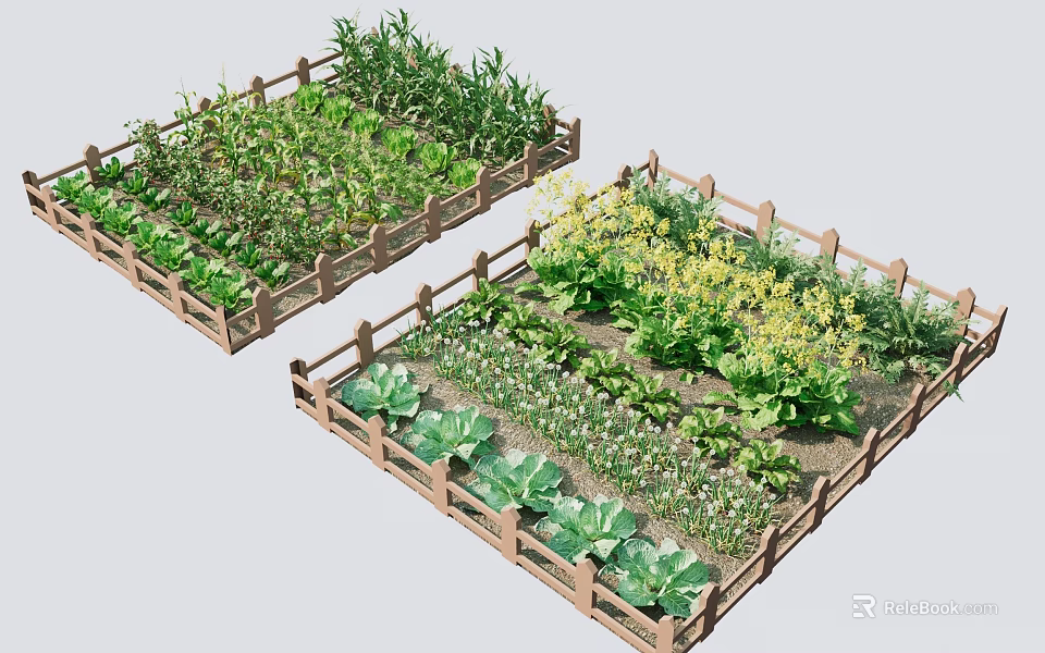 Different Types Of Vegetables And Crops Growing In Wooden Fenced Garden Beds 3d model 
