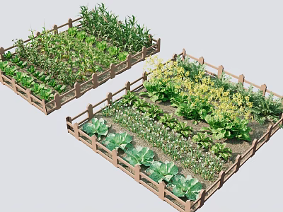 Different Types Of Vegetables And Crops Growing In Wooden Fenced Garden Beds 3d model