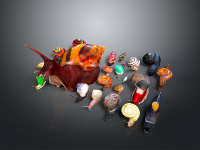 Different Types of Reptiles Such as Lizards Turtles and Snakes in Natural Habitat 3d model