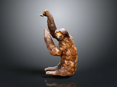 Realistic Sloth Sculpture in Sitting Pose with Long Raised Arms and Detailed Fur Texture 3d model