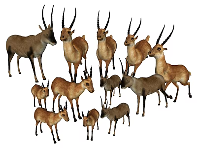 Reptiles of Different Sizes Standing Together in Natural Wildlife Group 3d model