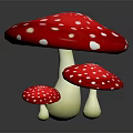 Three Vibrant Red Mushrooms With White Spots In Various Sizes On Dark Background