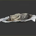 Rustic Wood And Stone Decorative Piece With Natural Soil And Shavings Elements