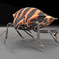 insect reptile beetle worm 3d model
