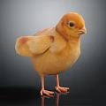 Fluffy Yellow Baby Chicken Standing On Shiny Surface With Dark Background