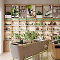 Natural Skincare and Body Products Specialty Store with Shelves Green Plants and Display Counter