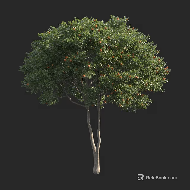 Lush Arbor with Dense Green Foliage and Orange Fruits on Dual Trunks 3d model 