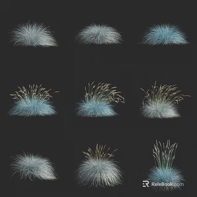 Various Feathery Tufted Ornamental Grasses Silver Blue And Golden On Black Background For Garden 3d model 