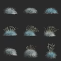 Various Feathery Tufted Ornamental Grasses Silver Blue And Golden On Black Background For Garden
