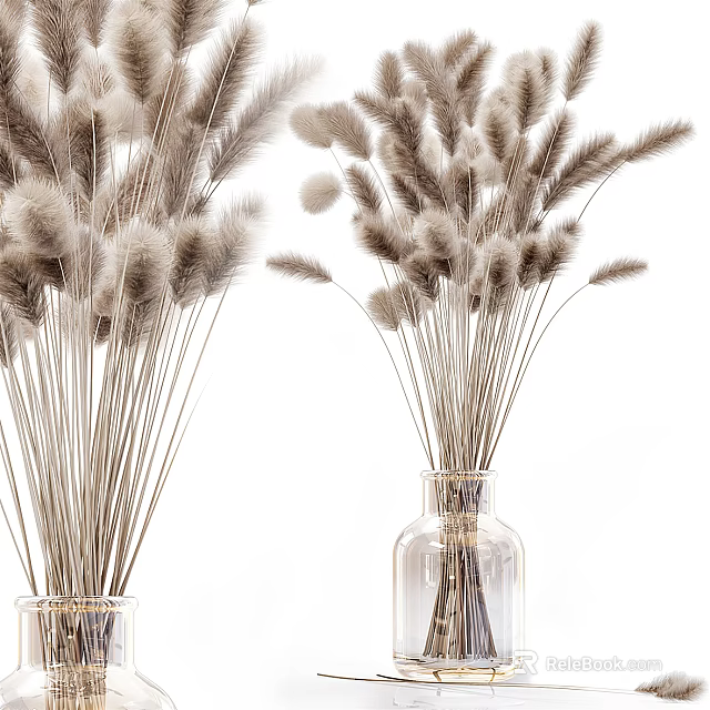 Elegant Clear Glass Vases Holding Light Brown Dried Grasses For Home Decor 3d model 