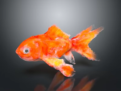 Orange Goldfish With Vibrant Color And Flowing Tail On Dark Background With Reflection 3d model