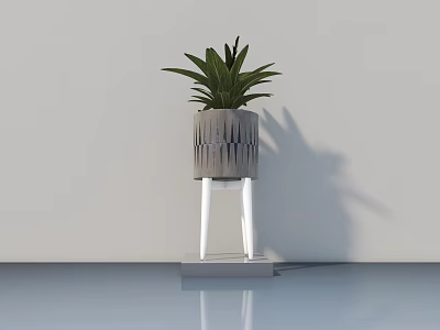 Indoor Potted Bonsai Plant With Textured Gray Pot On White Stand 3d model