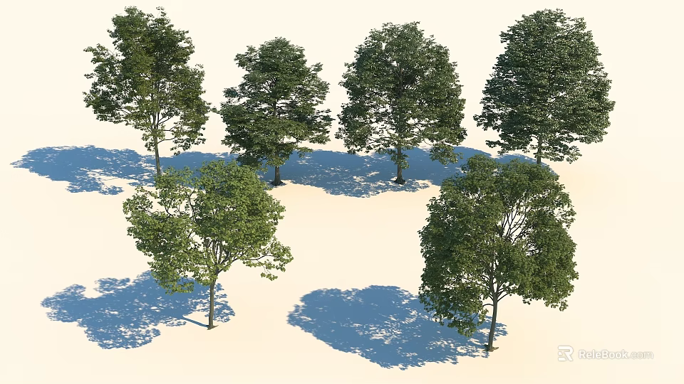 Various Leafy Trees With Different Shapes Lush Green Foliage And Cast Shadows 3d model 