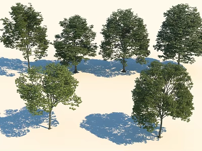 Various Leafy Trees With Different Shapes Lush Green Foliage And Cast Shadows 3d model